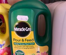 miracle grow plant feed